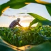 Adobestock 621171608