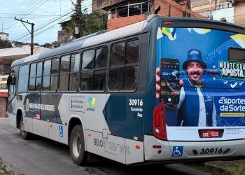 Cmbh Camara De Bh