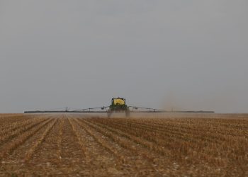 D6a9557 0