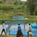 Fao Fishing Tilapia1