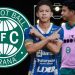 Noticias Coritiba Hoje Kukri
