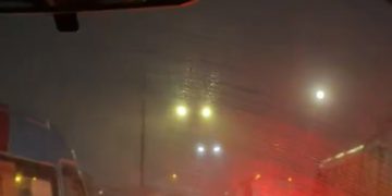IMG 5798
