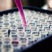 Louis Reed Pwckf7l4 No Unsplash