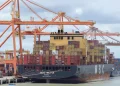 Pzzb74033 9