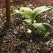 Sesi Lab Agrofloresta Mc Abr 29062026 12