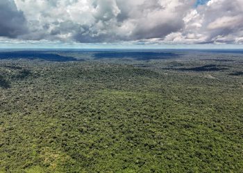 Dji 20260514133612 0223 D 55279773377 O