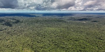 Dji 20260514133612 0223 D 55279773377 O