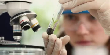 Meninas Cientistas 1