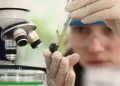 Meninas Cientistas