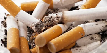 Tobacco 2692246