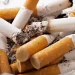 Tobacco 2692246