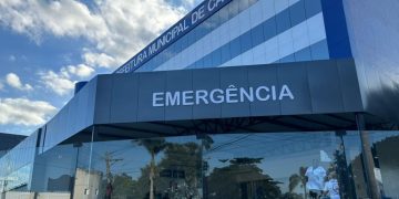 HFM registra 32 casos de acidentes com animais peçonhentos em 2026