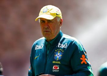 Carlo Ancelotti Icon