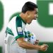 Pias Couto Espaco Ativos Milionarios Coritiba